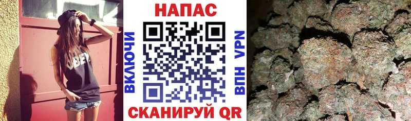 Канабис гибрид  Жердевка 